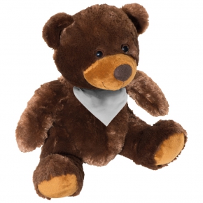 Teddy bear, large