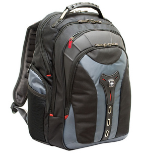 PEGASUS 17` computer backpack 27306060