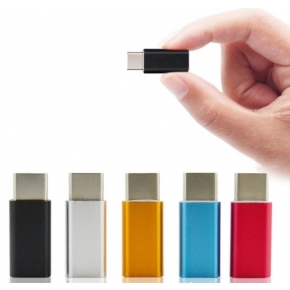 Type-C/micro USB adapter