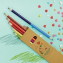 12 colour bicolored pencils / Colorsy