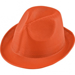 Adult polyester hat