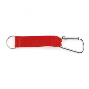 Key ring with carabiner