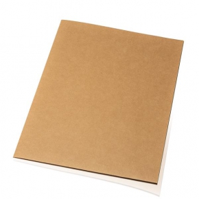 Carton document file