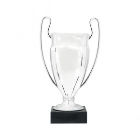 Plastic trophy, with marble base