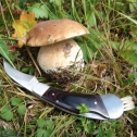 Mushroom knife PILZ Schwarzwolf