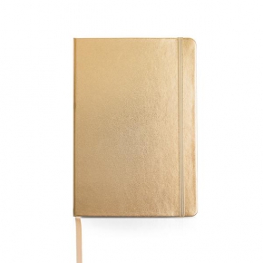 A5 shiny cover notebook